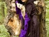 hexe_viola03