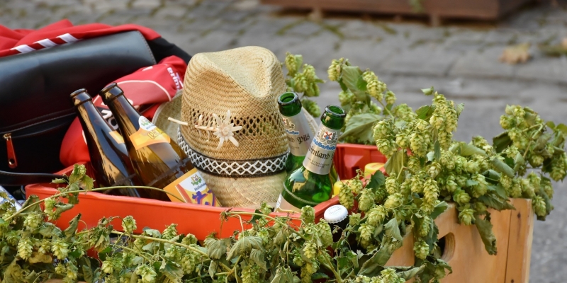 Bierbraukurs in Erfurt